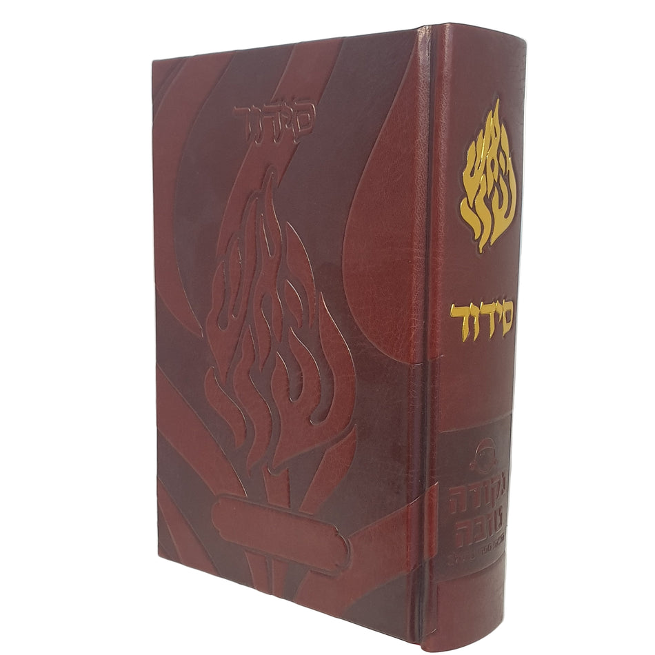 סידור האש שלי חום בורדו